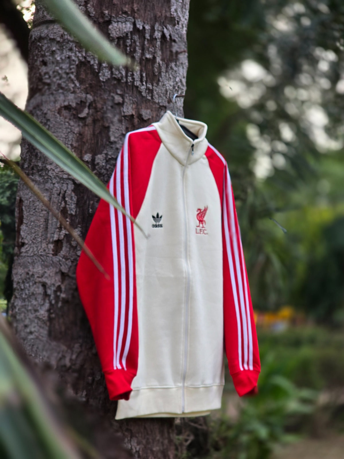 LIVERPOOL EXCLUSIVE  ZIPPER