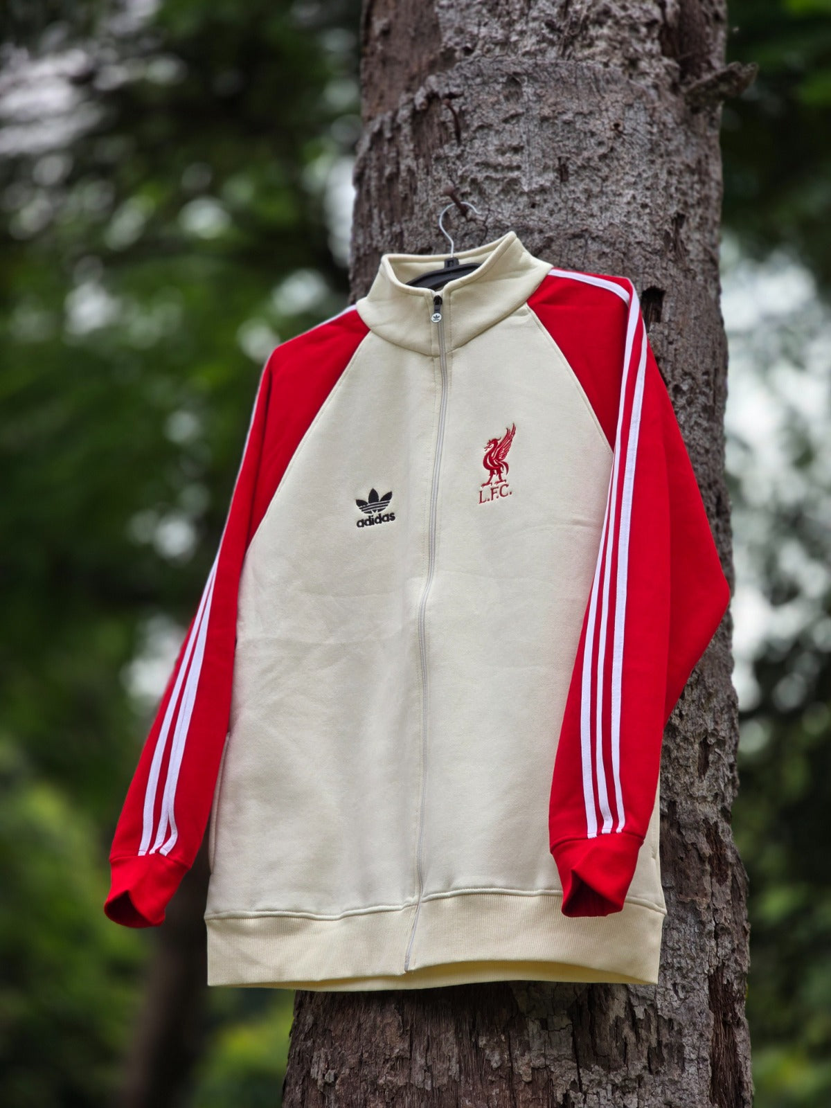 LIVERPOOL EXCLUSIVE  ZIPPER